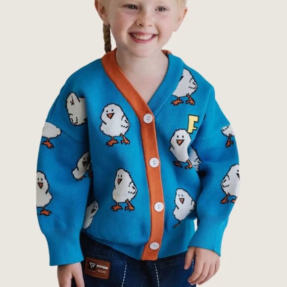 Other - 4T Unisex kids clothing - Chicklet Cardi